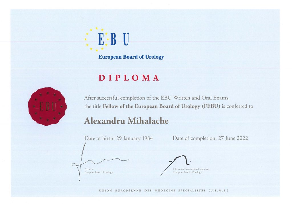 diploma FEBU